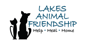 lakes animal friendship
